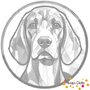 DOT Painting Hond - Coonhound