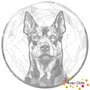 DOT Painting Dog - Beauceron