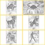 DOT Painting Coloring Book Zodiac Signs 24 pages!