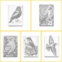 DOT Painting Kleurboek Vogels