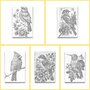 DOT Painting Kleurboek Vogels