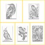 DOT Painting Kleurboek Vogels